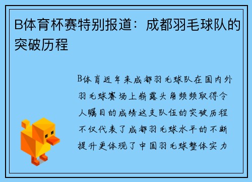 B体育杯赛特别报道：成都羽毛球队的突破历程